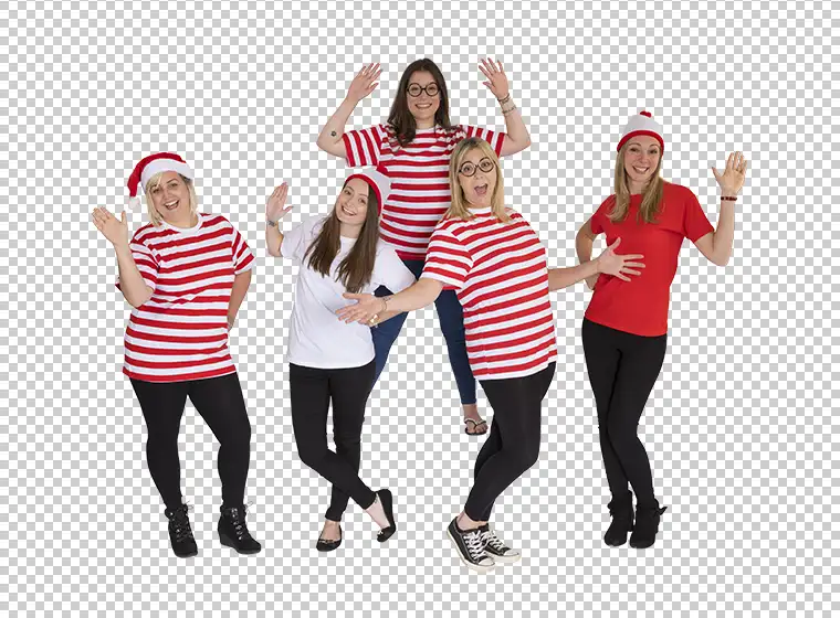 Hair & Fur Masking Services